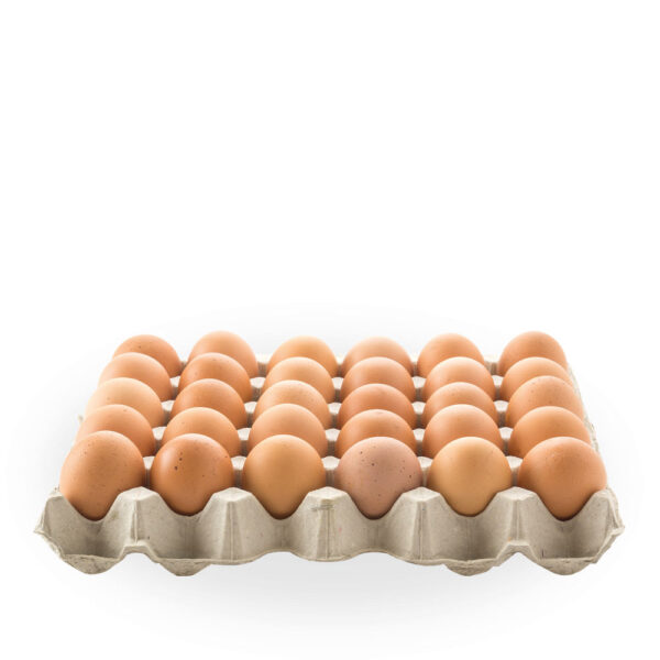 Sarı Large Yumurta 30lu